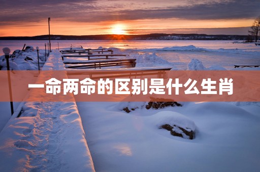 一命两命的区别是什么生肖