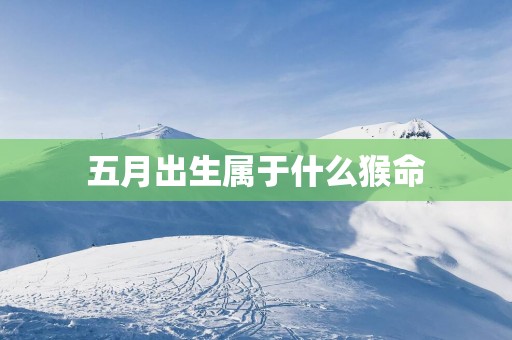 五月出生属于什么猴命