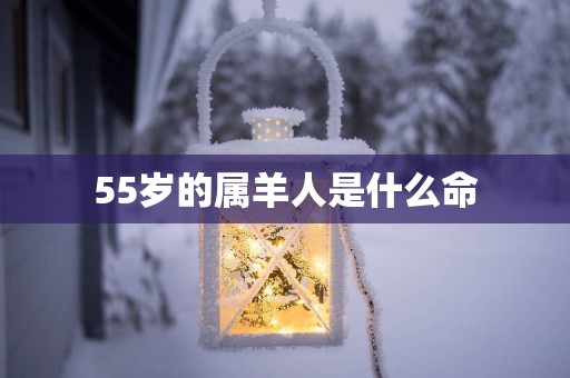 55岁的属羊人是什么命