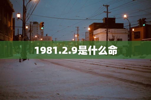 1981.2.9是什么命