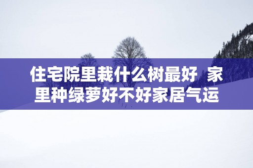 住宅院里栽什么树最好  家里种绿萝好不好家居气运