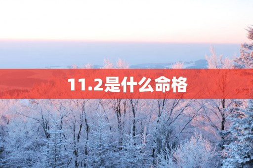 11.2是什么命格