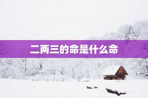 二两三的命是什么命
