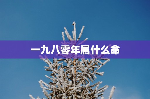 一九八零年属什么命
