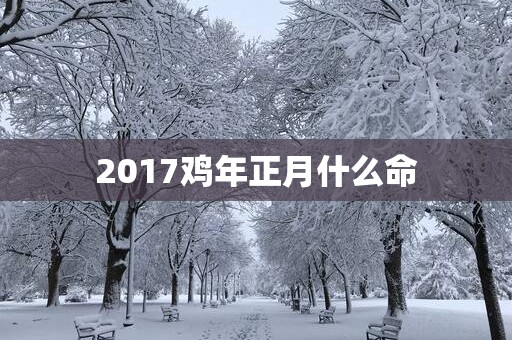 2017鸡年正月什么命