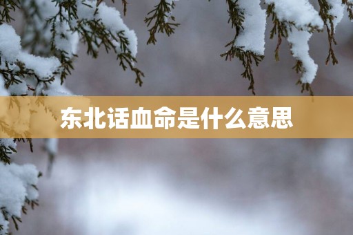 东北话血命是什么意思