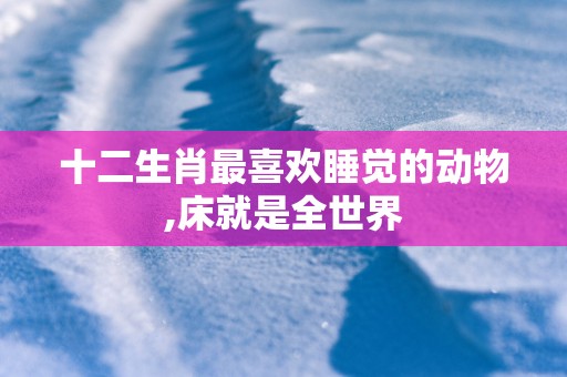 十二生肖最喜欢睡觉的动物,床就是全世界