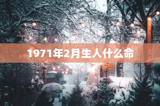 1971年2月生人什么命