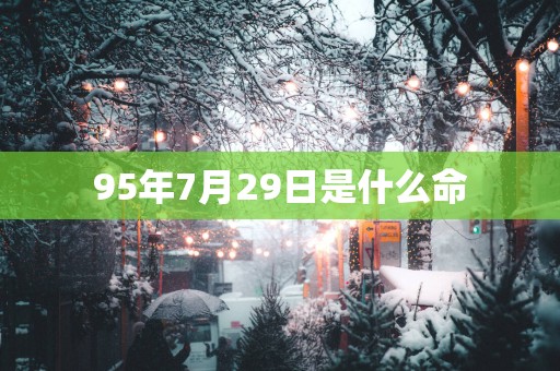 95年7月29日是什么命