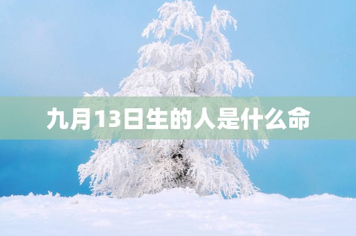 九月13日生的人是什么命