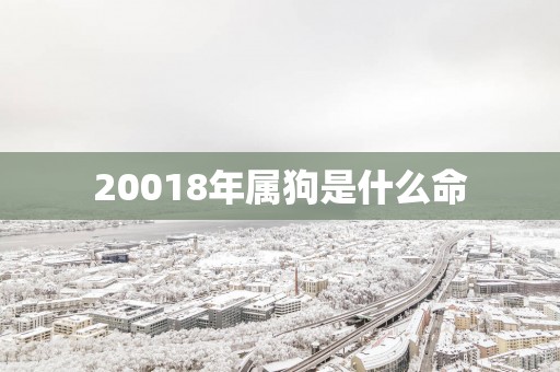 20018年属狗是什么命