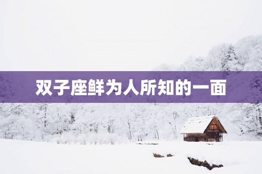 双子座鲜为人所知的一面