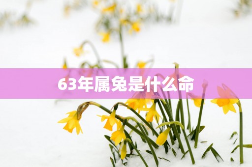 63年属兔是什么命