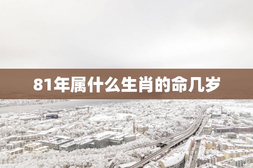 81年属什么生肖的命几岁