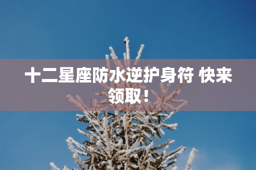 十二星座防水逆护身符 快来领取！