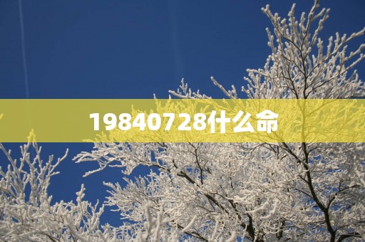 19840728什么命