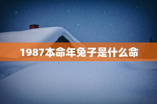 1987本命年兔子是什么命