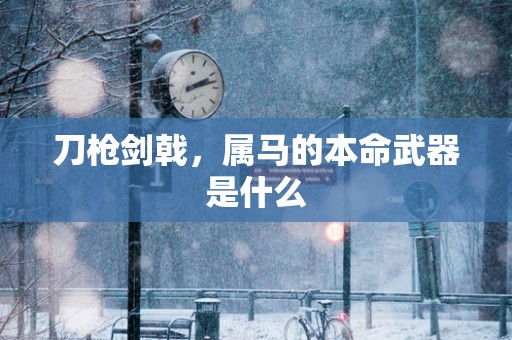 刀枪剑戟，属马的本命武器是什么