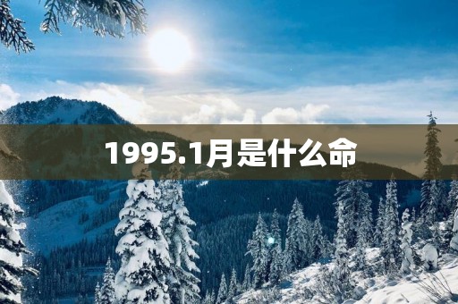 1995.1月是什么命