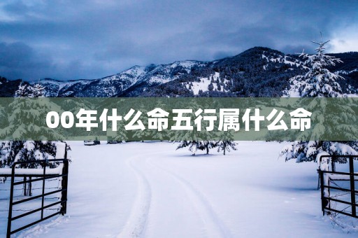 00年什么命五行属什么命