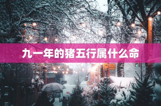 九一年的猪五行属什么命