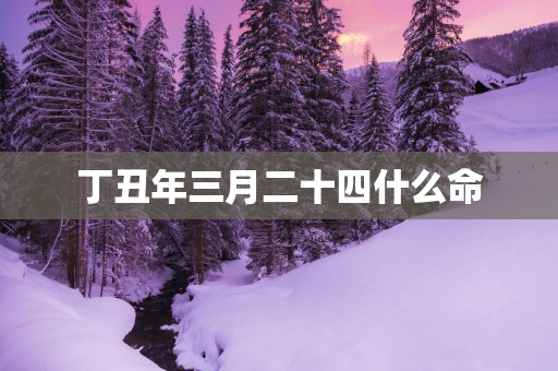 丁丑年三月二十四什么命