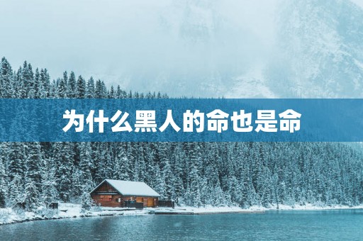 为什么黑人的命也是命