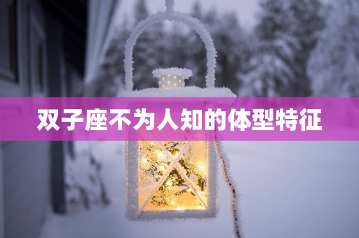 双子座不为人知的体型特征