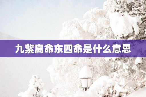 九紫离命东四命是什么意思