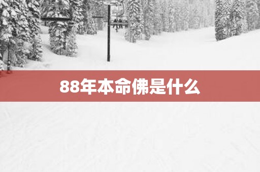 88年本命佛是什么