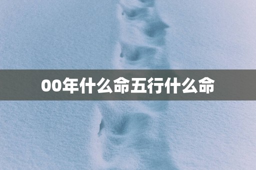 00年什么命五行什么命