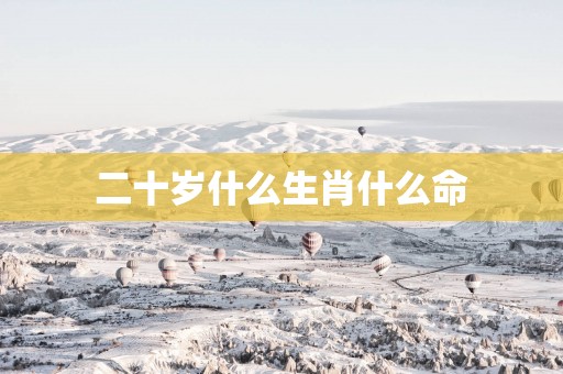 二十岁什么生肖什么命
