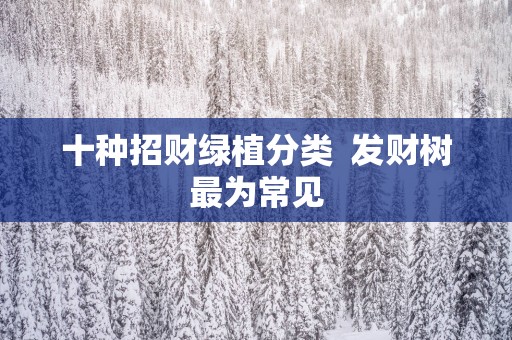 十种招财绿植分类  发财树最为常见