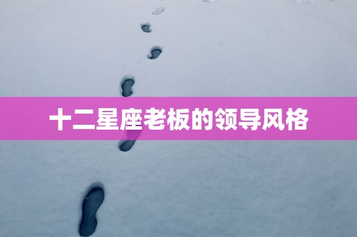 十二星座老板的领导风格