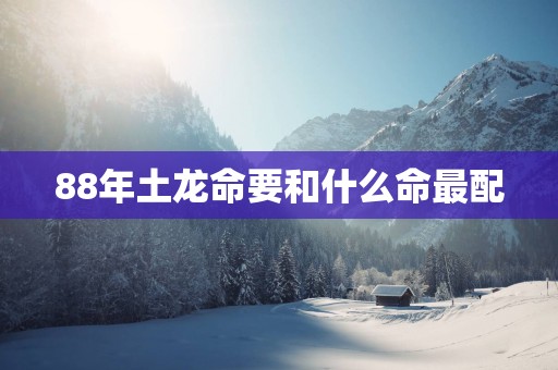88年土龙命要和什么命最配