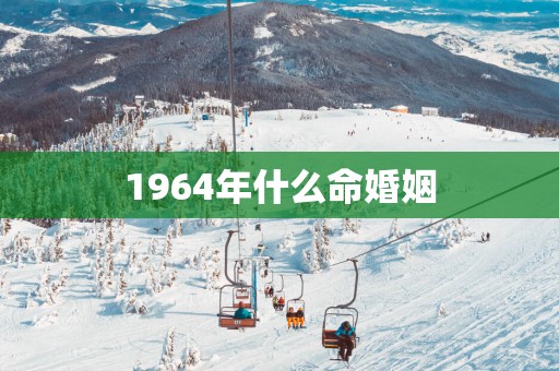 1964年什么命婚姻 1964年什么命婚姻