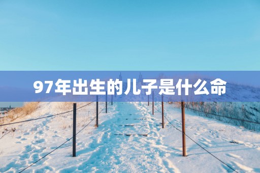 97年出生的儿子是什么命