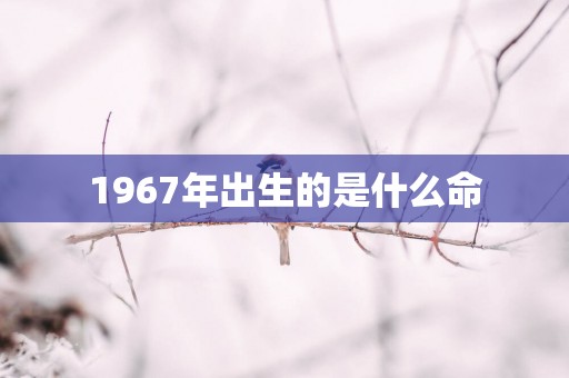 1967年出生的是什么命