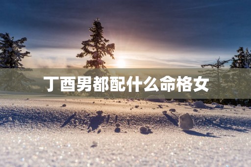 丁酉男都配什么命格女