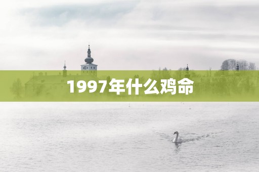 1997年什么鸡命
