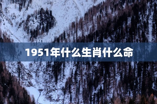 1951年什么生肖什么命