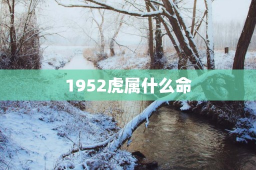 1952虎属什么命
