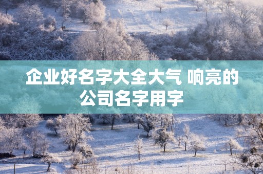 企业好名字大全大气 响亮的公司名字用字