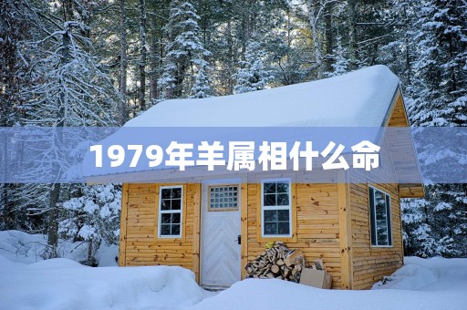 1979年羊属相什么命