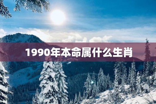 1990年本命属什么生肖