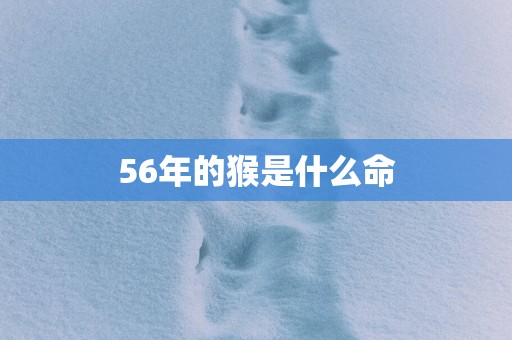 56年的猴是什么命