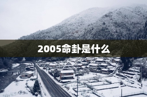 2005命卦是什么