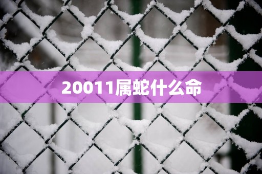 20011属蛇什么命