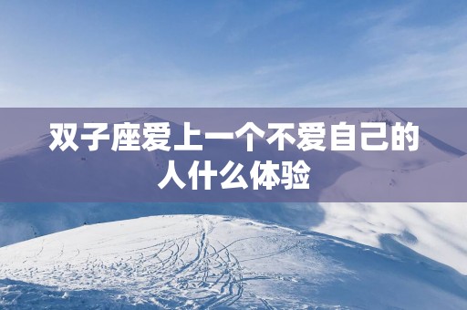 双子座爱上一个不爱自己的人什么体验