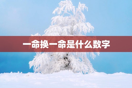 一命换一命是什么数字